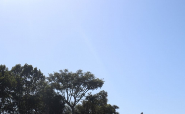 Temperaturas despencam e vento aumenta no Sul de SC neste domingo