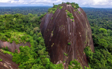 7 curiosidades sobre o Suriname