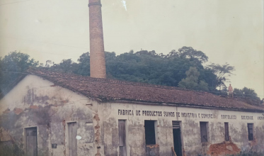 Os irmãos Bortoluzzi