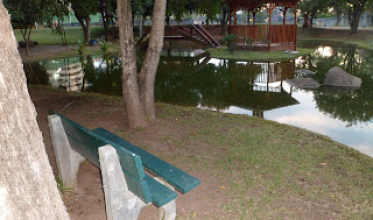 Amigos, amores e paixões que se foram