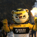Hoje só a vitória interessa ao Tigre 