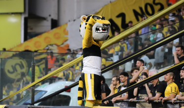 Janela de transferências fecha amanhã; Tigre contratou 10 atletas