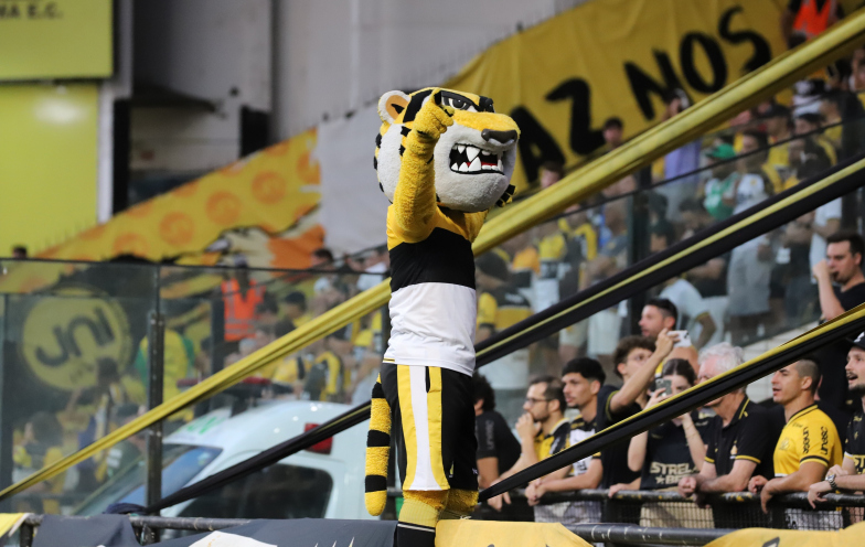 Janela de transferências fecha amanhã; Tigre contratou 10 atletas