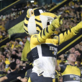 Tigre convoca a torcida: sábado terá festa, promoção e jogo decisivo no Heriberto Hülse