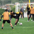 Fellipe Mateus e Willean Lepo ausentes do treino; Tigre já projeta novo patrocinador máster