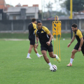 Confira os prováveis substitutos dos atletas suspensos do Criciúma para o jogo contra o Botafogo-SP