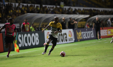 Tigre retoma os trabalhos; Waguininho está pendurado com dois amarelos