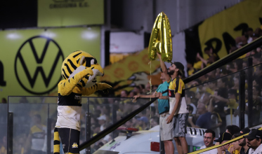 Acesso do Tigre! Probabilidade é de 44,3%, aponta estudo da UNESC