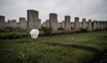 Para onde foram todas as flores