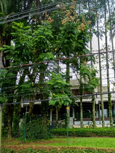 Mansão de Jarvis Gaidzinski vai a leilão com lance mínimo de R$ 25 milhões  