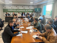 Foto: Fernando Ribeiro/FCF