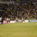 Tigre chega a 30 jogos na temporada: confira as estatísticas
