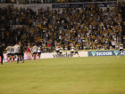 Tigre chega a 30 jogos na temporada: confira as estatísticas