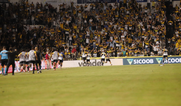 Tigre chega a 30 jogos na temporada: confira as estatísticas