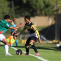 Tigre joga pela sobrevivência na elite do Brasileiro Sub-20