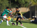 Tigre joga pela sobrevivência na elite do Brasileiro Sub-20