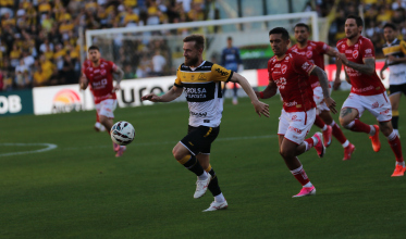 Remo contrata lateral e afasta possibilidade de saída de Marcelo Hermes do Criciúma