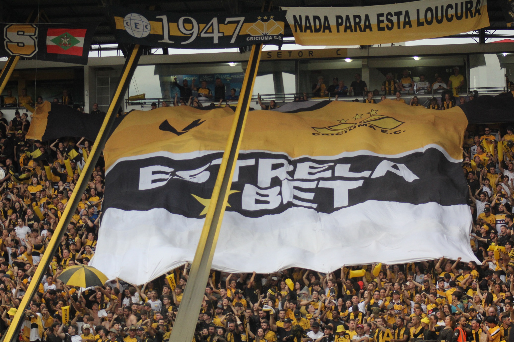 Criciúma 3 x 0 Botafogo/SP: nos últimos minutos, Tigre marca mais dois gols  e torcida vai à loucura - Esporte - 4oito