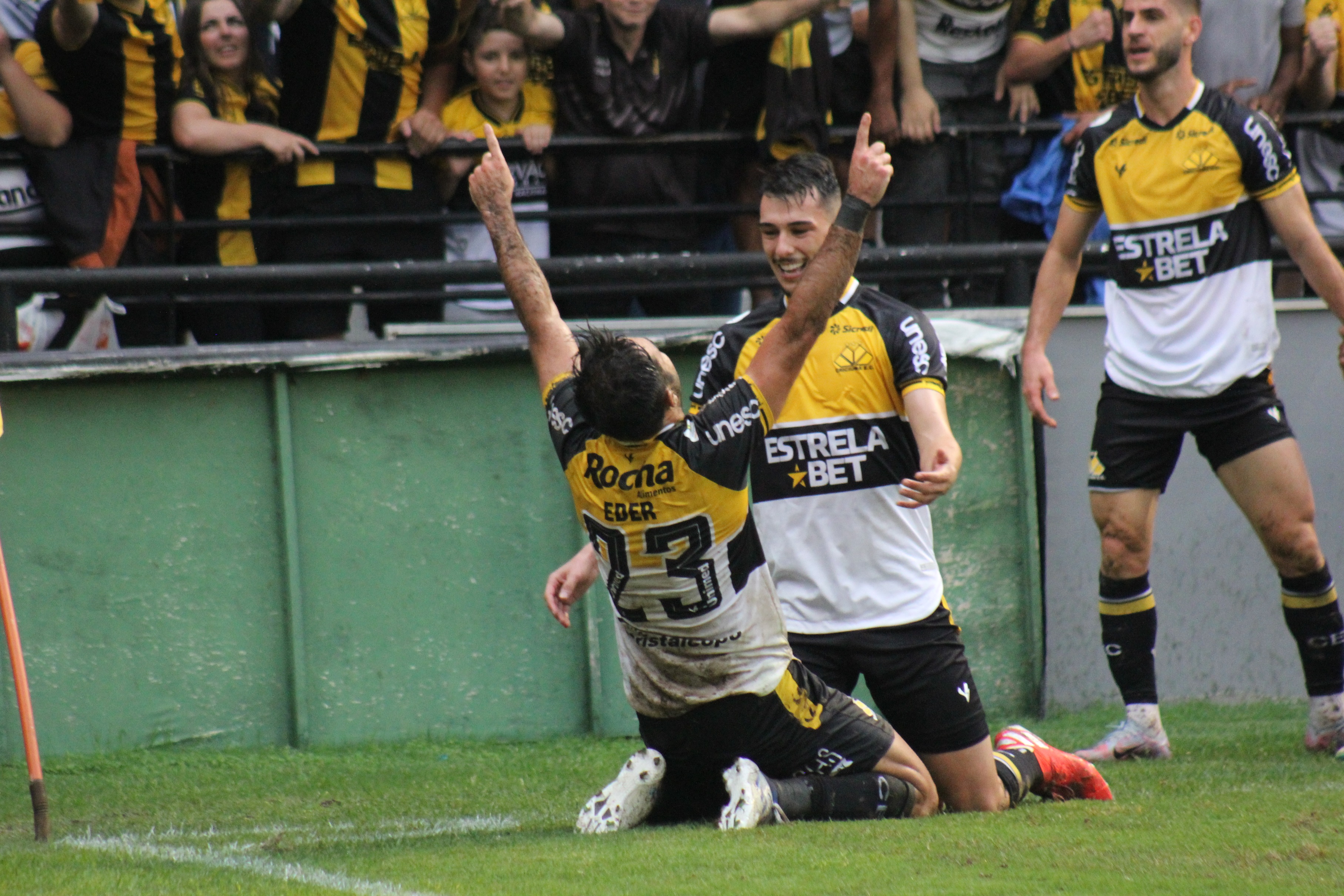 Criciúma 3 x 0 Botafogo/SP: nos últimos minutos, Tigre marca mais dois gols  e torcida vai à loucura - Esporte - 4oito